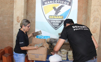 Mais de 90 quilos de drogas são incinerados pela Polícia Civil em Palmas