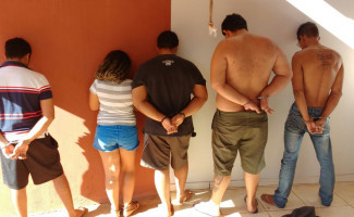 DENARC desarticula quadrilha e apreende 20 kg de maconha em Palmas