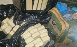 Polícia Civil apreende 53 kg de maconha em Gurupi