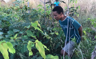 Polícia Civil desvenda homicídio e prende principal suspeito de cometer crime bárbaro em Guaraí