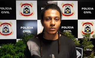 Polícia Civil do Tocantins prende estudante que cultivava e comercializava "supermaconha"