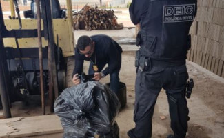 Mais de 200kg de drogas são destruídos pela Polícia Civil no sul do Estado 