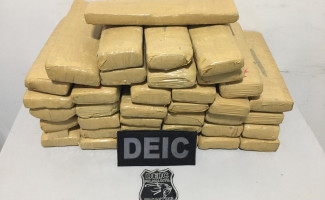 Polícia Civil apreende 30 kg de maconha e prende traficante no Sul do Estado 