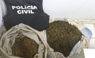 Polícia Civil prende três traficantes em Aguiarnópolis e apreende mais de 7kg de drogas e de 13 mil reais em espécie