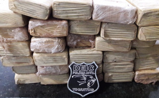 Polícia Civil prende dois suspeitos de tráfico de drogas e apreende mais de 30 kg de maconha em Gurupi 