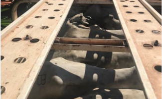 Polícia Civil recupera 32 cabeças de gado furtadas na cidade no último fim de semana 