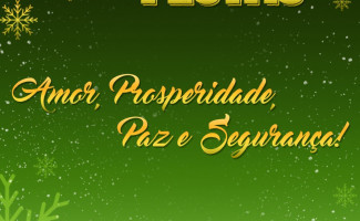 Feliz Natal e Próspero Ano Novo!