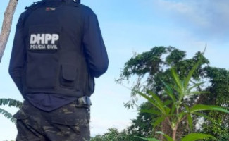 Polícias Civil e Militar localizam plantação de maconha em ilha no município de Aragominas