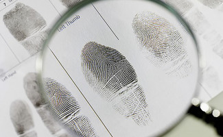 Polícia Civil identifica corpo encontrado em área de mata na região norte de Palmas