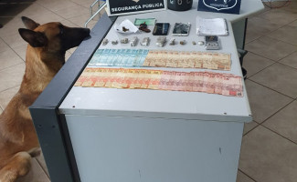 Forças de Segurança realizam operação conjunta de combate ao tráfico de drogas em Guaraí