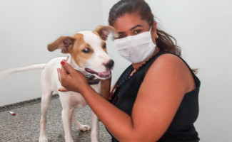 Polícia Civil indicia porteiro do hospital por suspeita de crime de maus tratos praticado contra um filhote de cachorro em Araguaína  