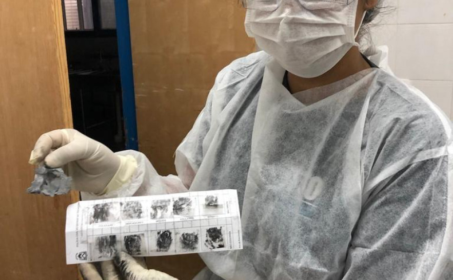  Identificação foi realizada por meio do exame técnico papiloscópico