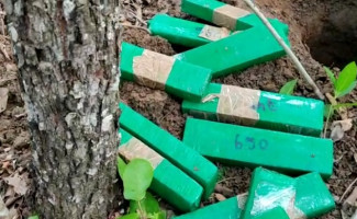 Em Miracema, ação da Polícia Civil e do Grupo de Operações com Cães da Polícia Militar resulta na apreensão de 20 quilos de maconha