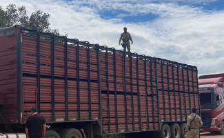 No primeiro dia da Operação Horus, Polícia Civil realiza a abordagem de mais de 250 veículos