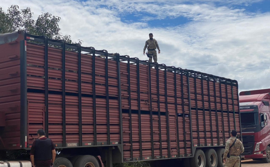 No primeiro dia da Operação Horus, Polícia Civil realiza a abordagem de mais de 250 veículos.jpg
