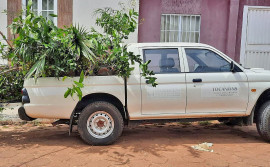 Adapec apreende carga irregular de mudas frutíferas em Wanderlândia