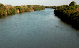 Governo do Tocantins preserva a biodiversidade no Estado