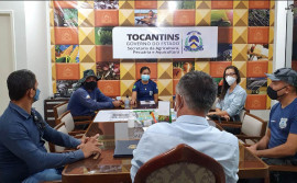 Parceria entre Seciju e Seagro possibilitará expansão do projeto Horta Renascer no Case de Palmas
