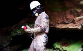 Governo do Tocantins usa base de dados em ações de controle da raiva dos herbívoros em locais estratégicos