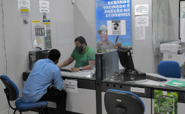 Adapec alerta que produtor rural tem até 10 de julho para declarar a vacinação contra febre aftosa