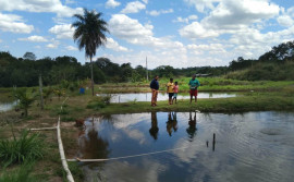 Governo do Tocantins e Prefeitura de Colinas somam esforços para fortalecer cadeia da piscicultura no município