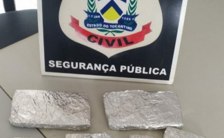 Polícia Civil encontra várias porções de drogas escondidas em bananeiras no extremo norte do Estado 