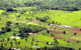 Governo do Tocantins e Banco do Brasil realizam mutirão de renegociação de dívidas do Pronaf