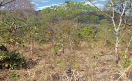 Meio Ambiente divulga panorama do Monitor de Secas referente a maio de 2021