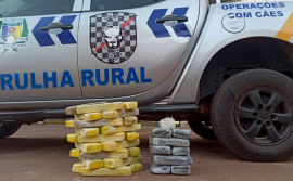Polícia Militar apreende 32 kg de entorpecentes e prende uma mulher por tráfico na rodoviária de Gurupi