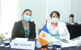 Tocantins discute estratégias para o combate ao desmatamento e queimadas em evento da Amazônia Legal