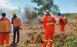 Defesa Civil Estadual vai formar brigadistas para a prefeitura de Palmas