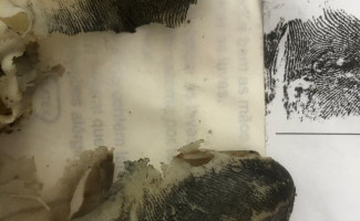 Polícia Civil do Tocantins identifica corpo de homem que foi encontrado em praia de Palmas por meio confronto de impressões digitais