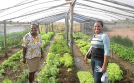 Efluente tratado por fossa biodigestora serve de adubo orgânico para agricultores familiares do Tocantins 