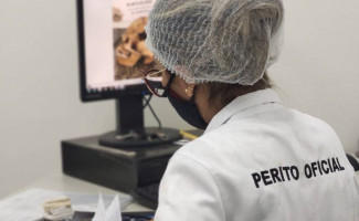  Familiares de pessoas desaparecidas podem auxiliar o IML com a entrega de prontuários médico/odontológicos   