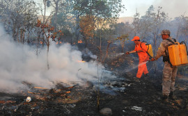 Conselho de Meio Ambiente aprova Plano de Prevenção e Combate aos Desmatamentos e Incêndios Florestais do Tocantins