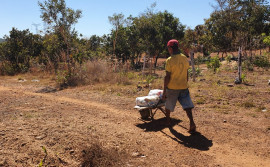 Governo do Tocantins distribui cestas básicas da Fundação Cultural Palmares a 47 comunidades quilombolas