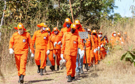 Governo do Tocantins divulga edital para contratação de brigadistas florestais