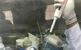 Governo do Tocantins apoia participação de pesquisadores em chamada do CNPq que destina Bolsa de Produtividade em pesquisa