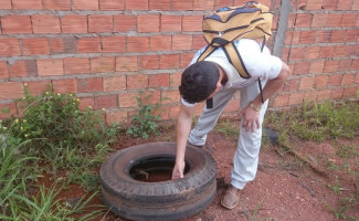 Saúde alerta para aumento de casos de Chikungunya