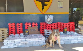 Polícia Militar apreende mais de 200 kg de entorpecentes dentro de um ônibus de turismo em Gurupi