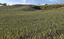 Seagro segue com ações para individualizar associações de propriedades rurais