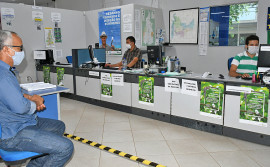 Adapec alerta sobre cadastramento obrigatório de transportadores de animais e veículos que encerra dia 1° de setembro
