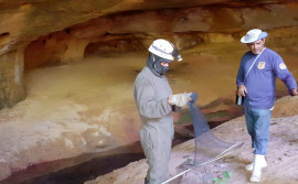 Adapec realiza ação de controle da raiva dos herbívoros em aldeia indígena no município de Goiatins
