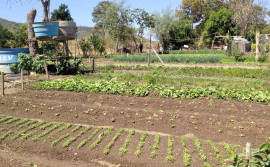 Seagro acompanha andamento de programa de fomento às atividades produtivas rurais