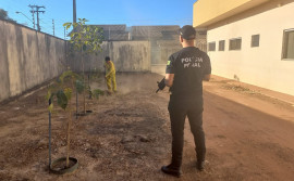 Sistema Penitenciário segue dando suporte aos municípios com mão de obra prisional
