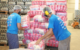 Governo do Tocantins publica decreto que define valor mínimo do metro quadrado de lotes nas Áreas Empresariais e nos Distritos Industriais