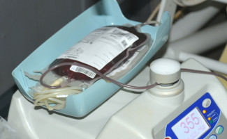 Hemocentro de Araguaína precisa de sangue para atender cirurgias cardíacas