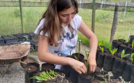 Programa do Governo do Tocantins reforça qualificação profissional de jovens acadêmicos