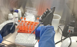 Governo do Tocantins investe mais de R$ 1,2 milhão com retomada dos Editais de Bolsa Produtividade e Tradução de Artigos Científicos