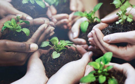 Seagro realiza Fórum para o Desenvolvimento Regional Via Consórcios na região sul do Tocantins